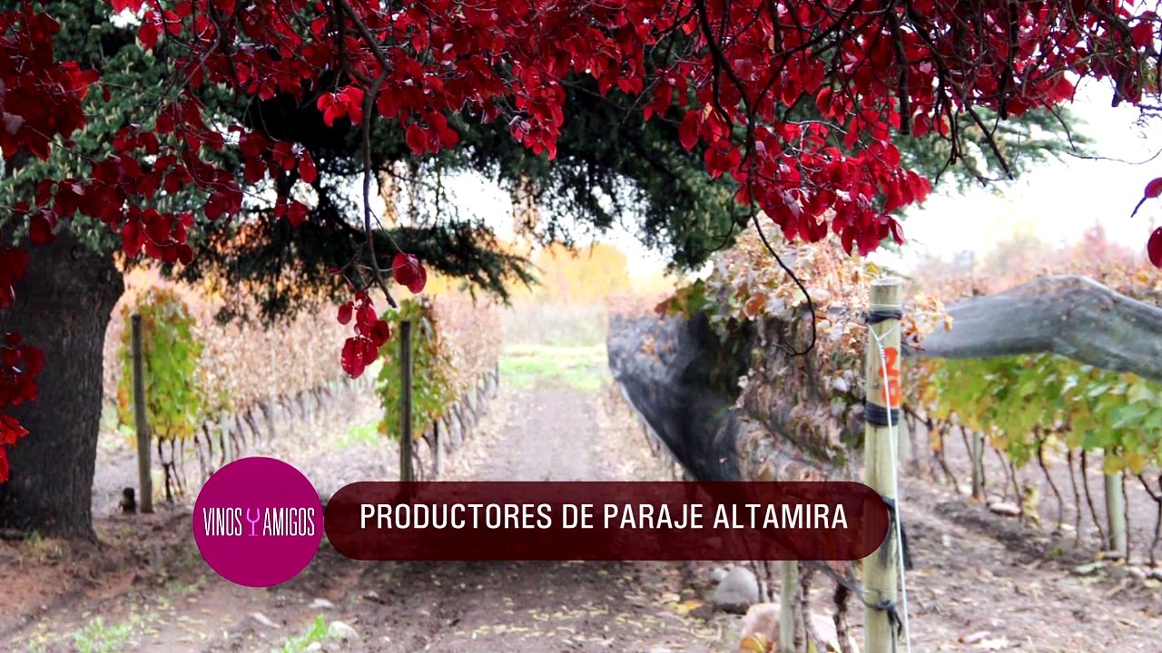 Vinos y Amigos Programa 170 Bloque 2