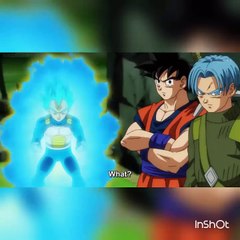 Goku malakoi matador de onça.