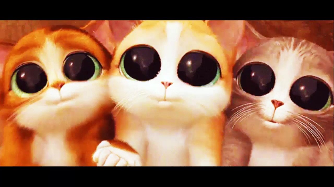 ♥‿♥ ブンバ・ボーン ᵔᴥᵔ おかあさんといっしょ ♫ かわいい猫 ≧❂◡❂≦