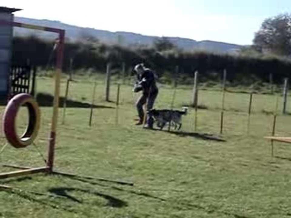 TAMISS AGILITY