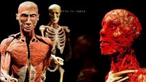 Humaine vieux restes mille années Séculaire des restes humains qui existe encore 6 hindi