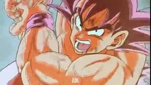 Dragon ball Z  Goku vs Vegeta - The Runway AMV(MC)