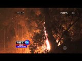 Kebakaran Hutan Gunung Lawu Menjalar ke Pemukiman Warga - NET24