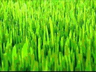 'Dreamer'- Jody Raffoul