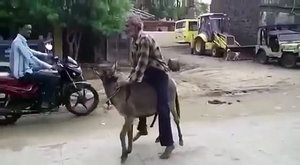 here is Whatsapp gif videos that's all very funny