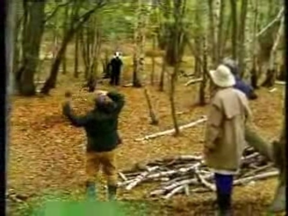 Badger Attack
