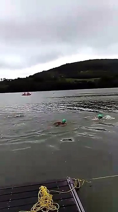 Eau libre - Lac du Causse 2017 Arrivée 500m