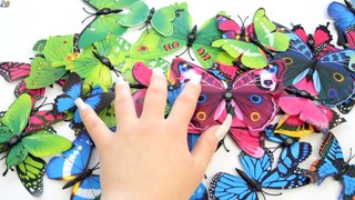 Learn Colors Butterfly Nail Art Finger Family Song Nursery Rhymes Top Compilation Baby Kid Teach