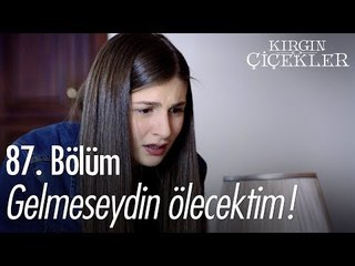 Kader, Sadri'yi ölümden kurtarıyor! - Kırgın Çiçekler 87. Bölüm