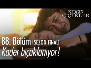 Kader bıçaklanıyor! - Kırgın Çiçekler 88. Bölüm | Sezon Finali