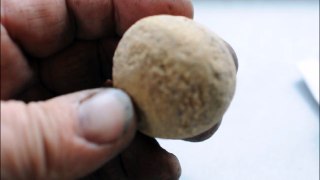 An Indian artifact Found      a Lacross Ball Found in Eastern Pa