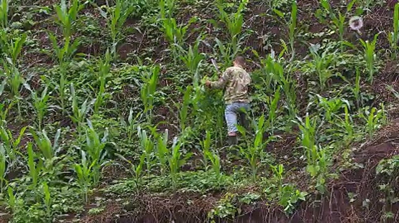 China: Keine Armen mehr bis 2020? | Weltspiegel | Das Erste