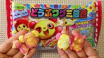 Kracie Animal Shaped Gummy Making Kit ～知育菓子 どうぶつグミ図鑑
