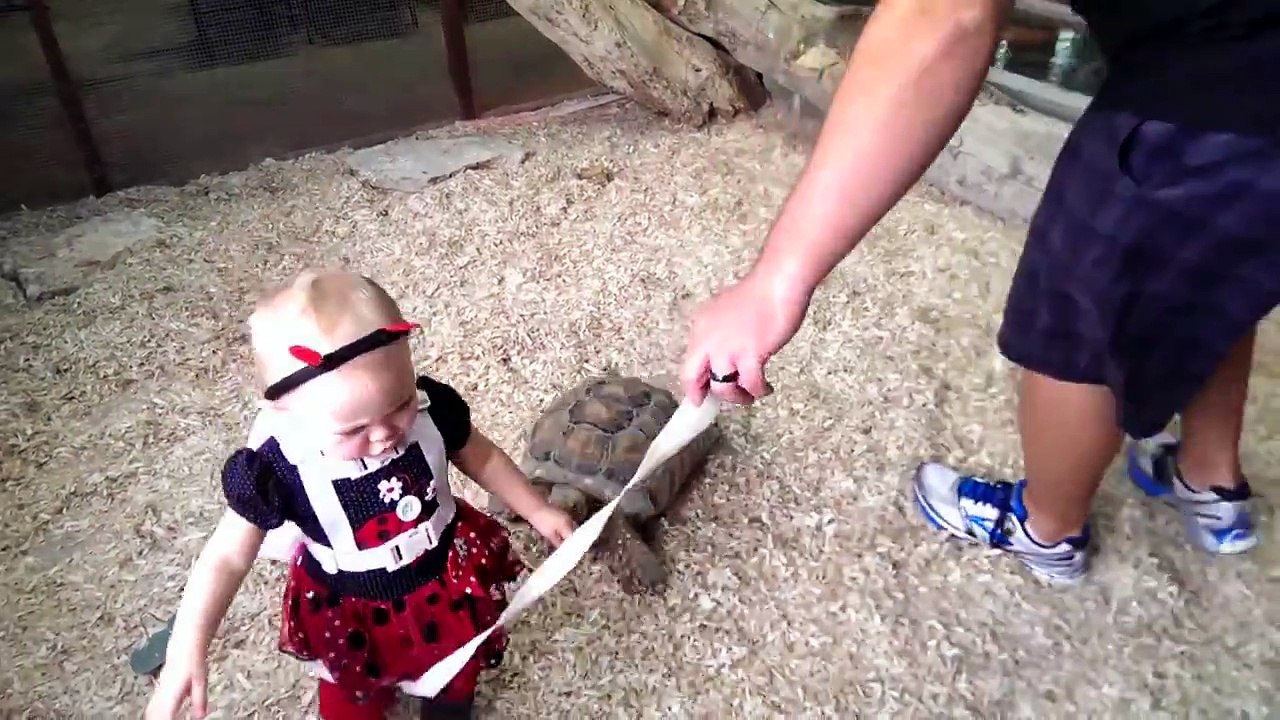 Cette tortue a décider de dévorer cette fillette... Ahaha trop mignon