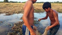 Boys Fishing - Happy Fishing At Rice Farm With Cast Net - Catch n Cook Big Catfish