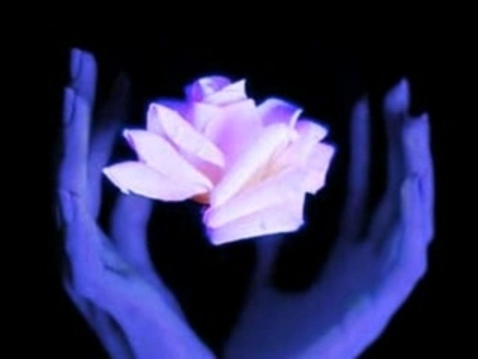 Meditation 1