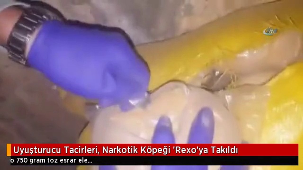 Uyuşturucu Tacirleri, Narkotik Köpeği 'Rexo'ya Takıldı