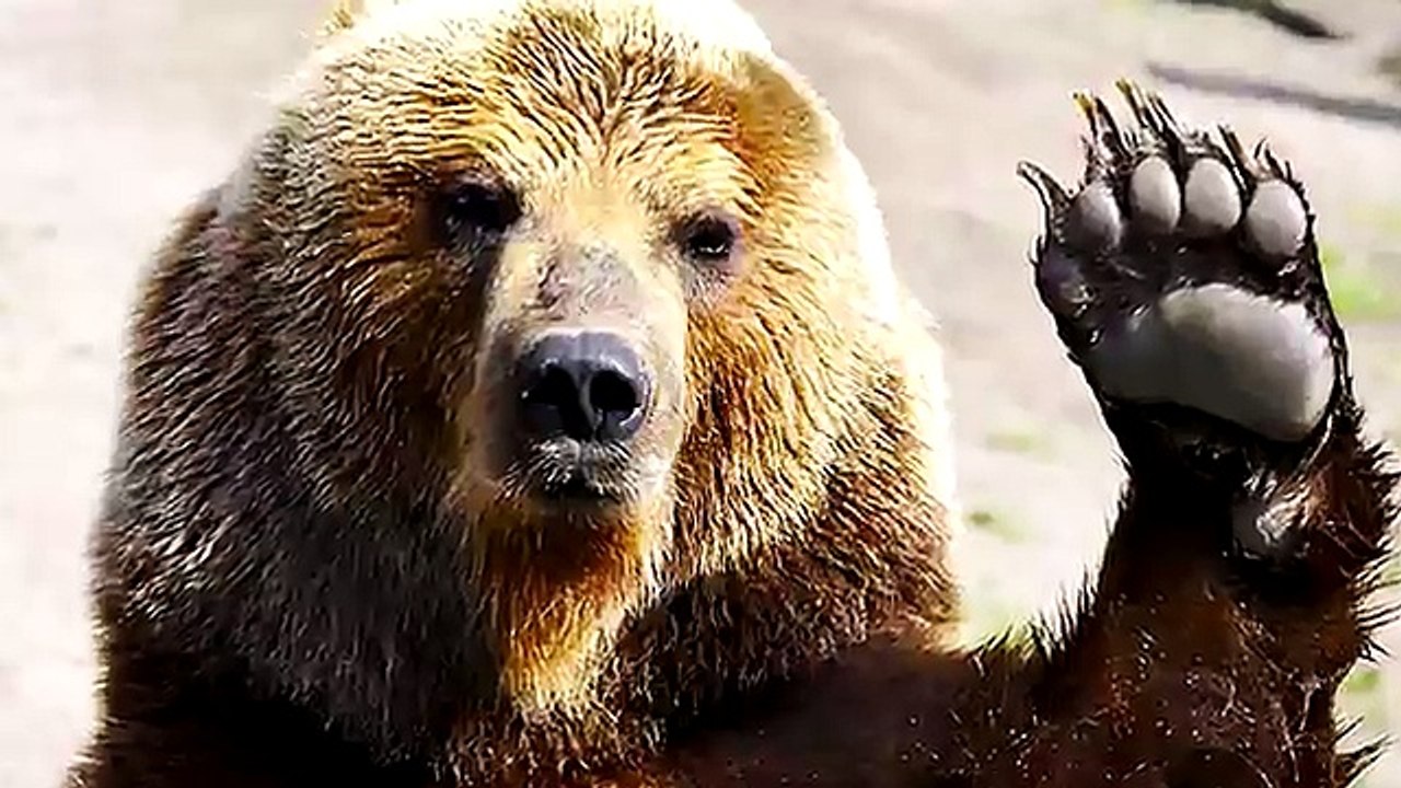 КАК ПОЛУЧИТЬ ЛЮБОЙ СКИН В CS:GO ВСЕГО ЗА 1$