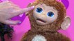 Moni Monita en español - FurReal Friends juguetes - Bebé Mona Anna Banana - Cuddles my Giggly Monkey