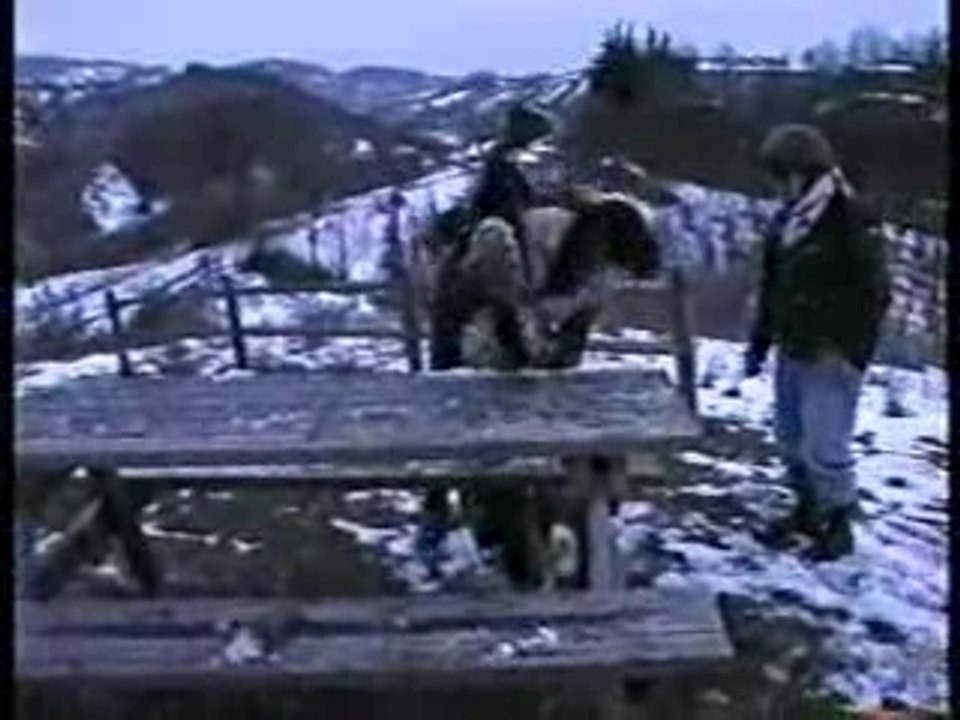 Salto