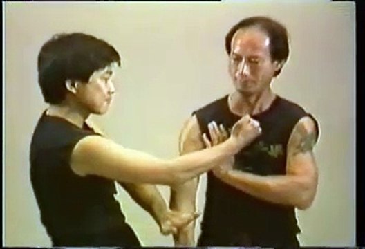 Wing Chun (Wing Tsun)