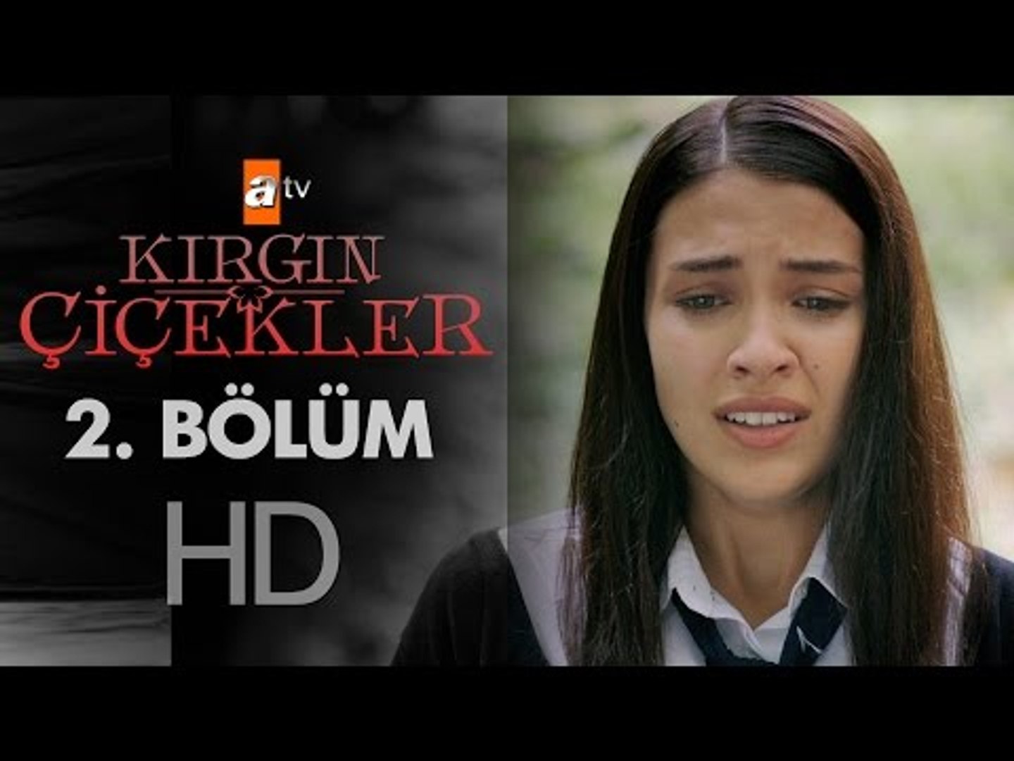 analiz sözlük anlamı