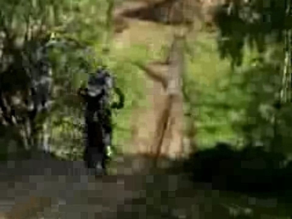 Fmx