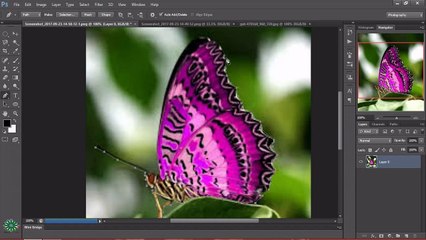 AMAZING BUTTERFLY MANIPULATION WITH MODIFIED WITH A GIRL IN PHOTOSHOP CS 6.1