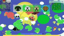 MOPE.IO THE BEST WAY TO LEVEL THE FASTEST TO THE LAST ANIMAL USING ALL BIOMES! (Mope.io)