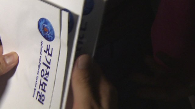 '국정원 댓글' 민병주 前 단장 기소...국정원 의혹 수사 확대 / YTN