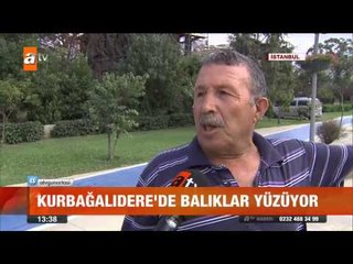 Kurbağalıdere'de balıklar yüzüyor - atv Gün Ortası Bülteni