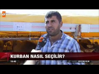 Kurban nasıl seçilir? - atv Ana Haber