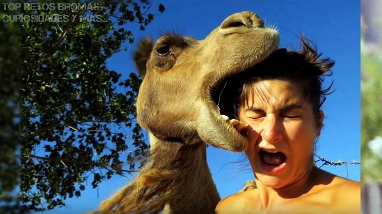 25 Fotos de Animales Tomadas en el Momento Exacto