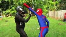 Real Life / Venom w Örümcek Adam ve Dondurulmuş Elsa Dondurma Savaşı !!