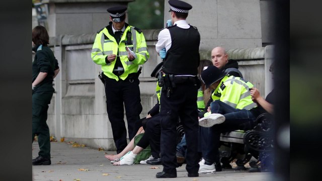 영국 런던에서 차량 인도로 돌진...여러 명 다쳐 / YTN