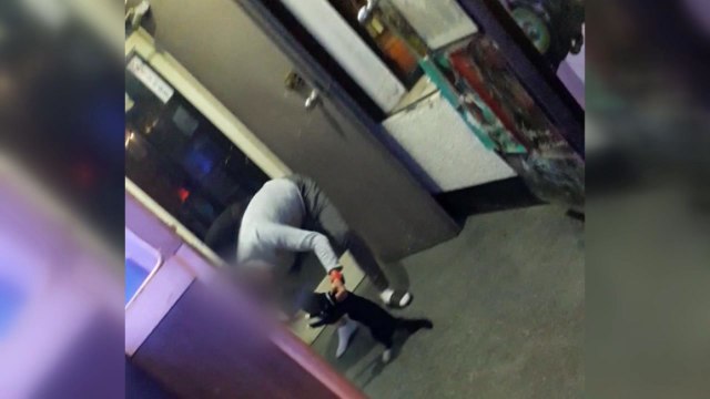 고양이 던지고 때려 ...경찰, 학대 여부 수사 착수 / YTN