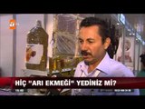 Arı ekmeği, eşek sütü sabunu... - 17.10.2015 - atv Ana Haber