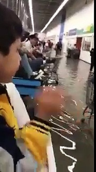 Y la creatividad de los mexicanos salió a relucir