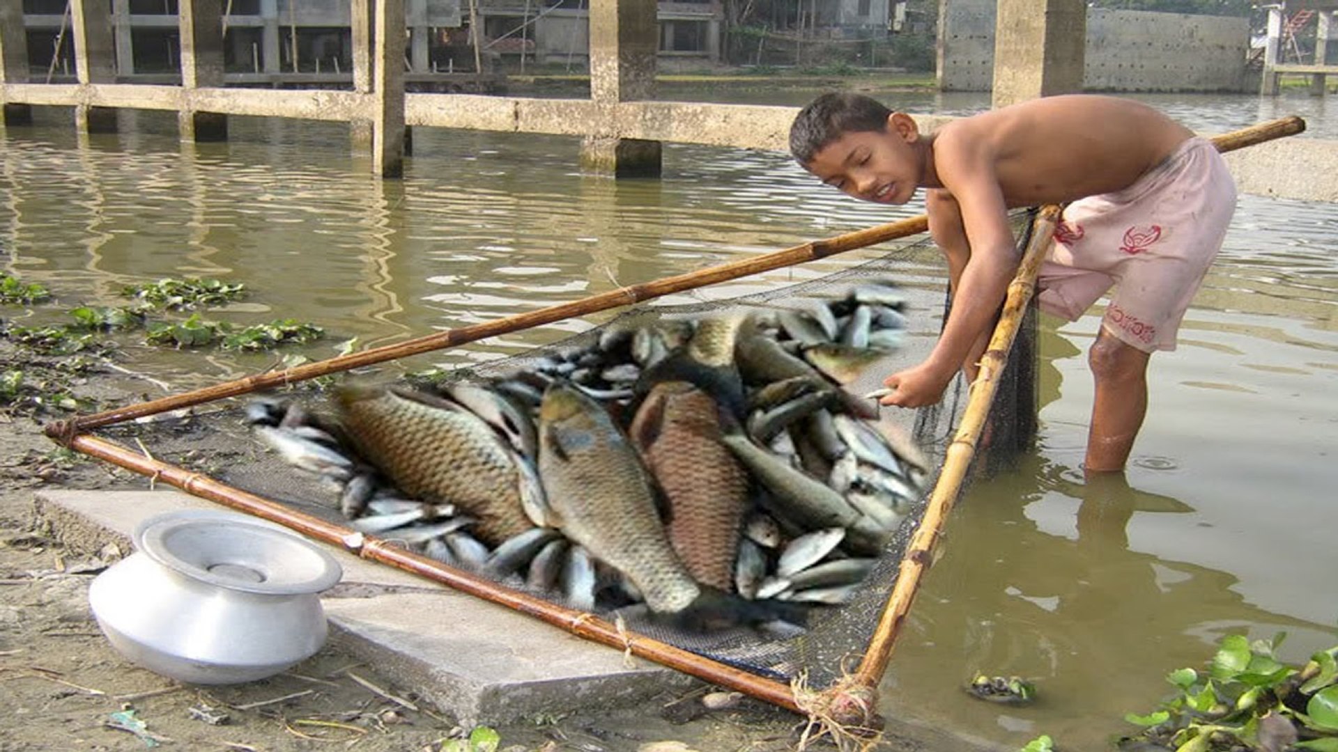 Khmer Fishing, Net Fishing at Kompong Spue - Cambodia Traditional Fishing -  Fishing Man - video Dailymotion