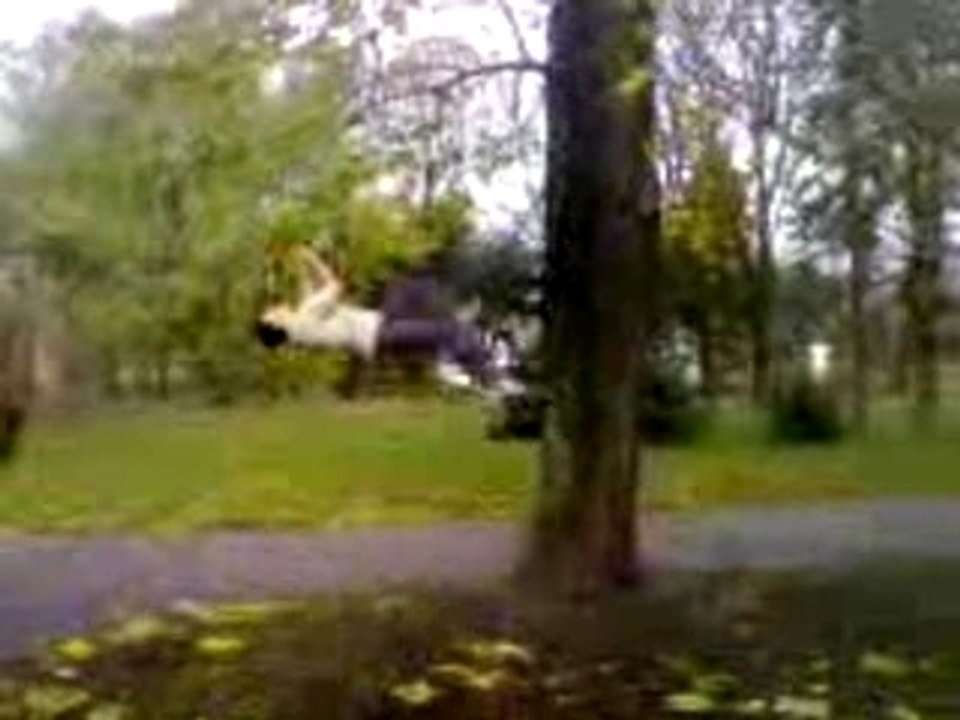 Freerun