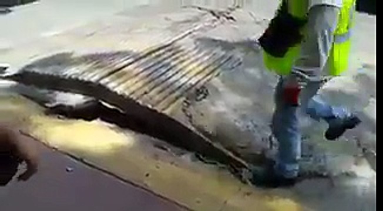 Así palpitaba el suelo durante terremoto en Ciudad de México