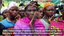 Village of widows in Nigeria tries to get back on its feet