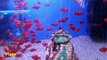 Most Beautiful & Colorful Aquarium Fishes