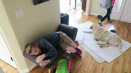 Come Get Me From School.I NEED a Day Off