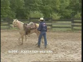 Equitation Western