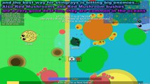 MOPE.IO ALL ANIMALS IN THE GAME - Ocean Animals & Land Animals (Mope.io)