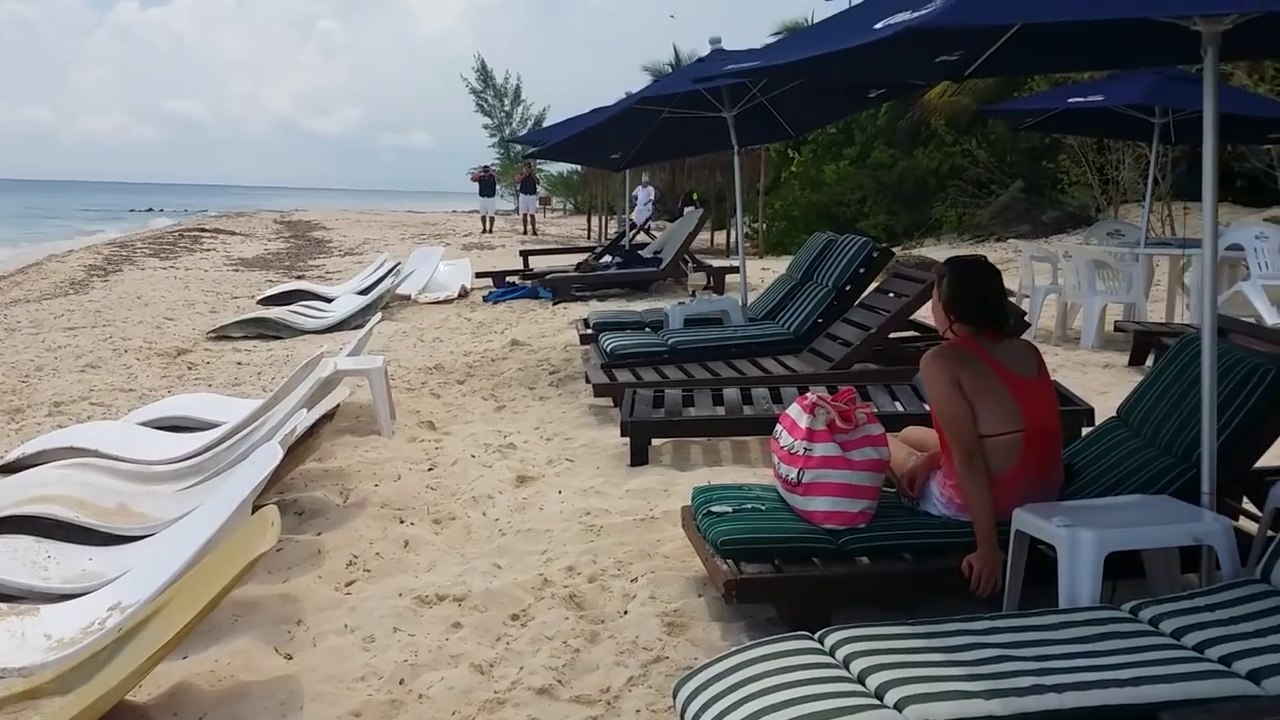 Énorme crocodile rend visite des touristes!!