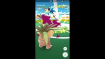 Pokémon GO Gym Battles 2 Gyms Exeggutor Hitmonlee Lapras NEST 5k Egg Hatchings & more
