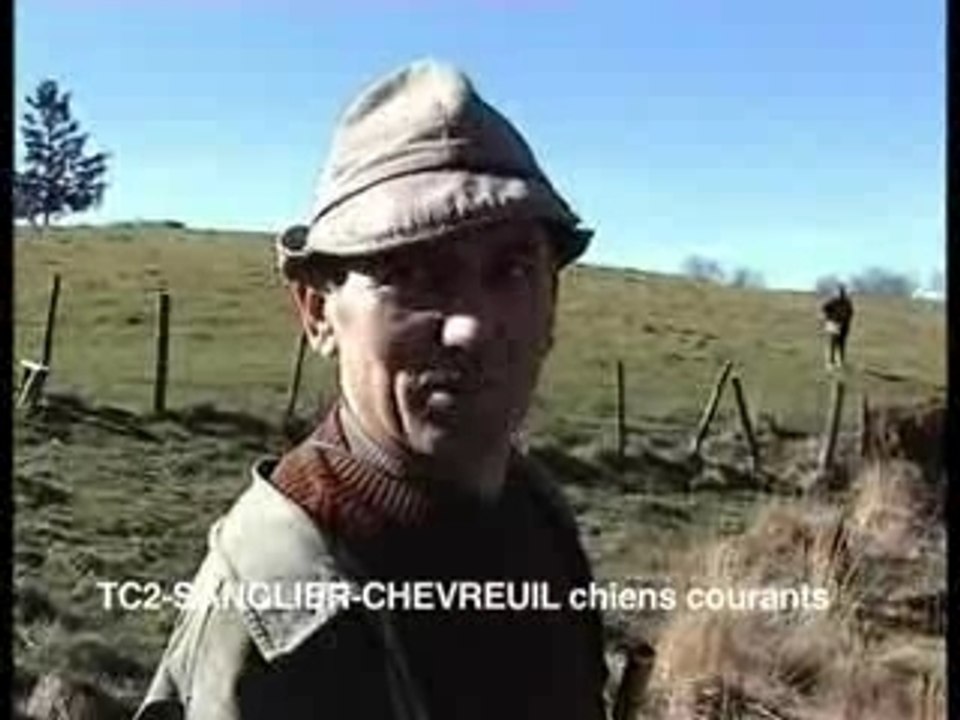 SANGLIER ET CHEVREUIL AU CHIEN COURANT