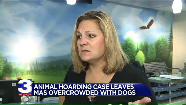 Memphis Shelter Overcrowded After Dozens of Dogs Rescued From Hoarder`s Home